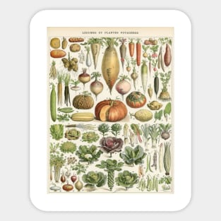 Vegetables Sticker